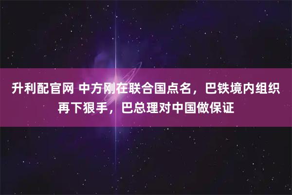 升利配官网 中方刚在联合国点名，巴铁境内组织再下狠手，巴总理对中国做保证