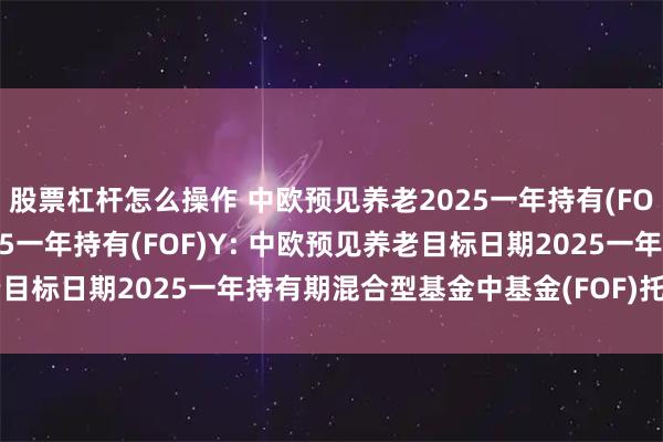 股票杠杆怎么操作 中欧预见养老2025一年持有(FOF)A,中欧预见养老2025一年持有(FOF)Y: 中欧预见养老目标日期2025一年持有期混合型基金中基金(FOF)托管协议(修订)