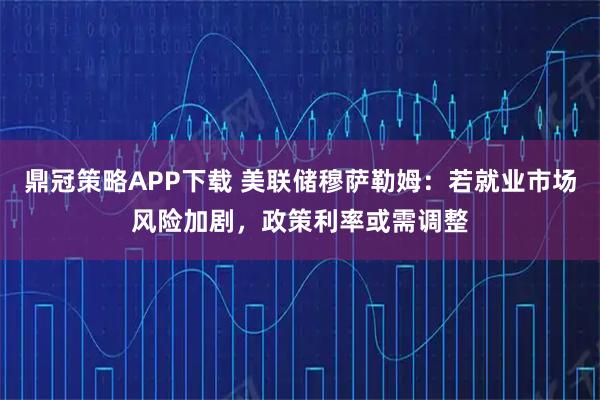 鼎冠策略APP下载 美联储穆萨勒姆:若就业市场风险加剧,政策利率或需调整